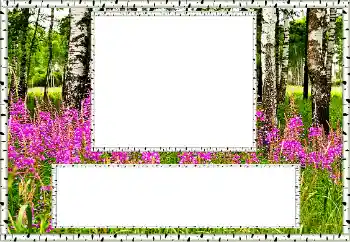 Kateqoriyadan fotoeffekt Yay № 131011 Kateqoriyadan fotoeffekt Yay № 131011