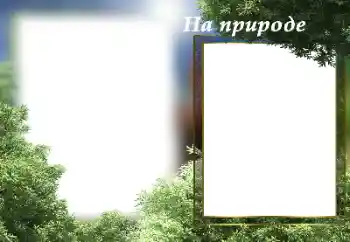 Kateqoriyadan fotoeffekt Yay № 182141. Çərçivə üzərində yazı: Təbiətdə