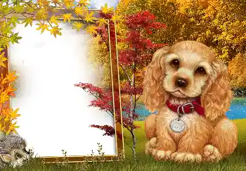 Kateqoriyadan fotoeffekt Payız № 190594
