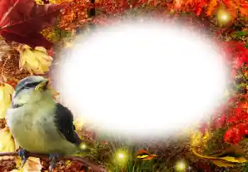Kateqoriyadan fotoeffekt Payız № 191761