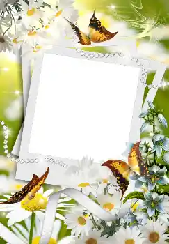 Kateqoriyadan fotoeffekt Yaz № 4611