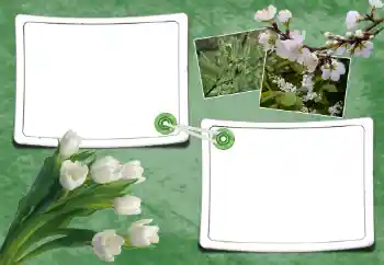 Kateqoriyadan fotoeffekt Yaz № 93095 Kateqoriyadan fotoeffekt Yaz № 93095