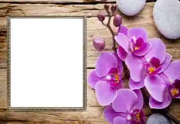 Kateqoriyadan fotoeffekt Qadın foto çərçivələri № 206185 Kateqoriyadan fotoeffekt Qadın foto çərçivələri № 206185