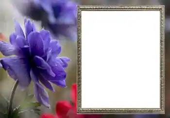 Kateqoriyadan fotoeffekt Qadın foto çərçivələri № 206189 Kateqoriyadan fotoeffekt Qadın foto çərçivələri № 206189