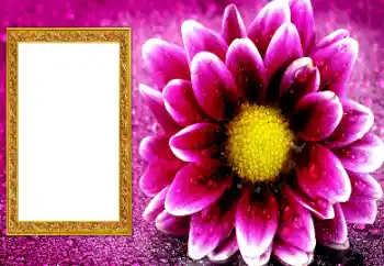 Kateqoriyadan fotoeffekt Qadın foto çərçivələri № 206195 Kateqoriyadan fotoeffekt Qadın foto çərçivələri № 206195